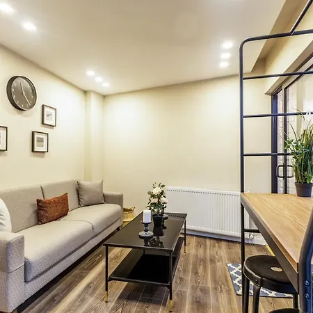 Centrally Located Flat In Sisli Apartment